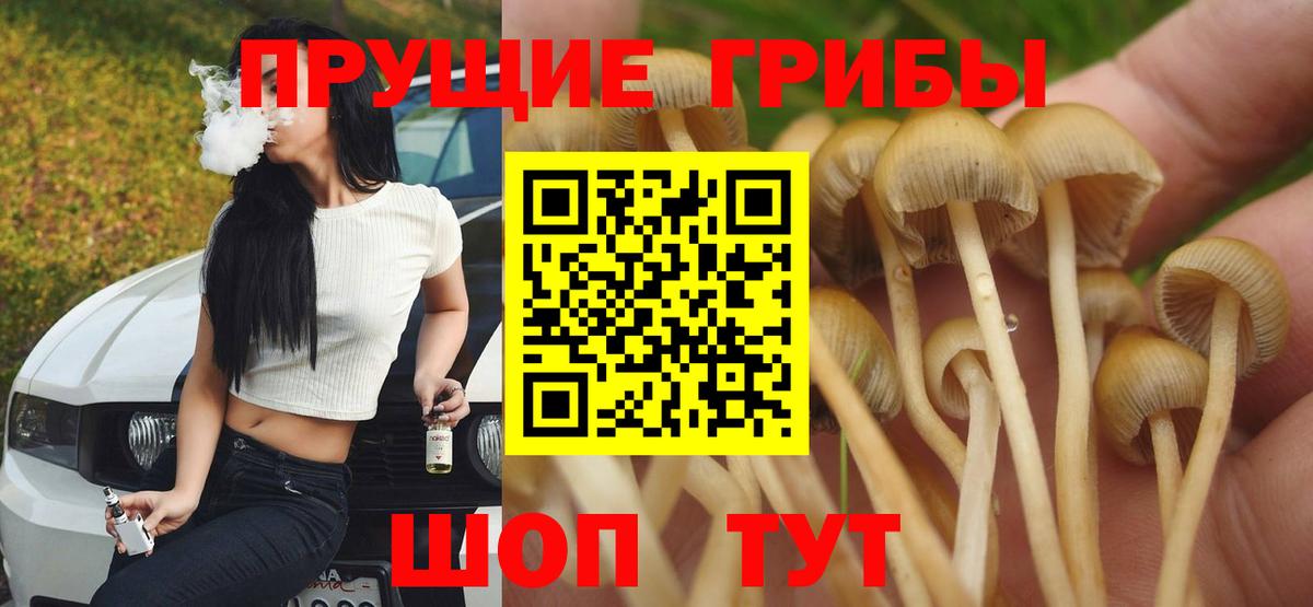 что такое наркотик  Псилоцибиновые грибы мицелий  Вход с VPN  Гусев 