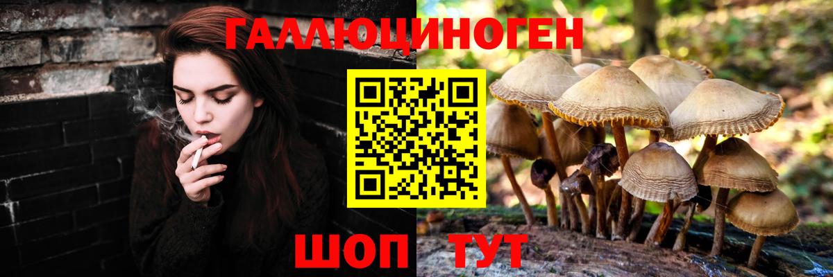 Псилоцибиновые грибы мицелий Гусев